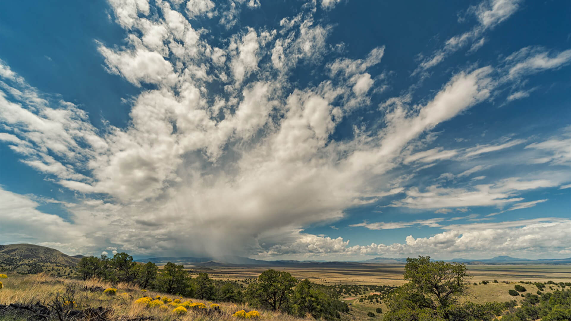 28693899803_13c1222bdb_o Weather - Rain