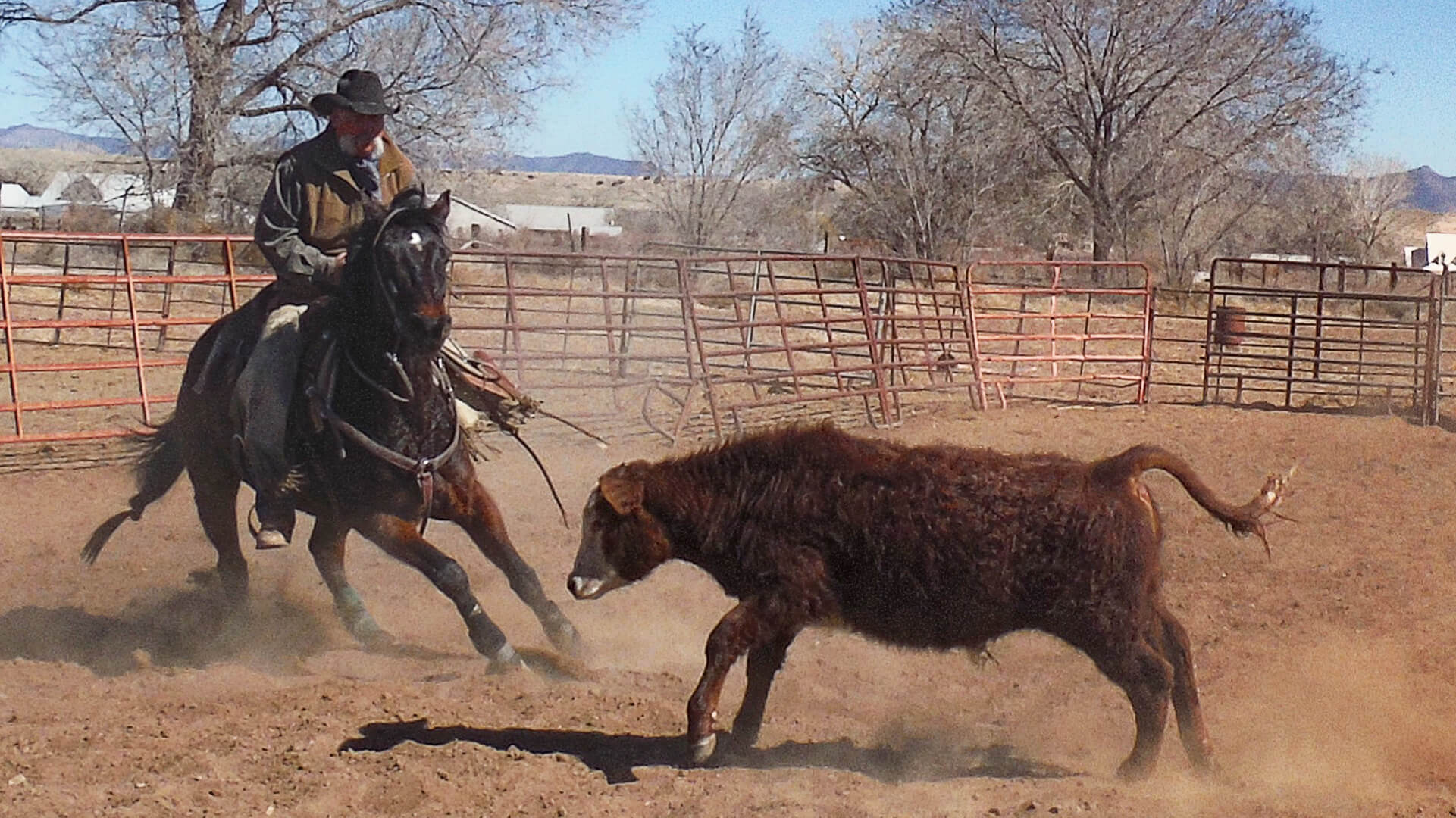 Ed cutting Late Ed Krauss cutting horse trainer and riding instructor