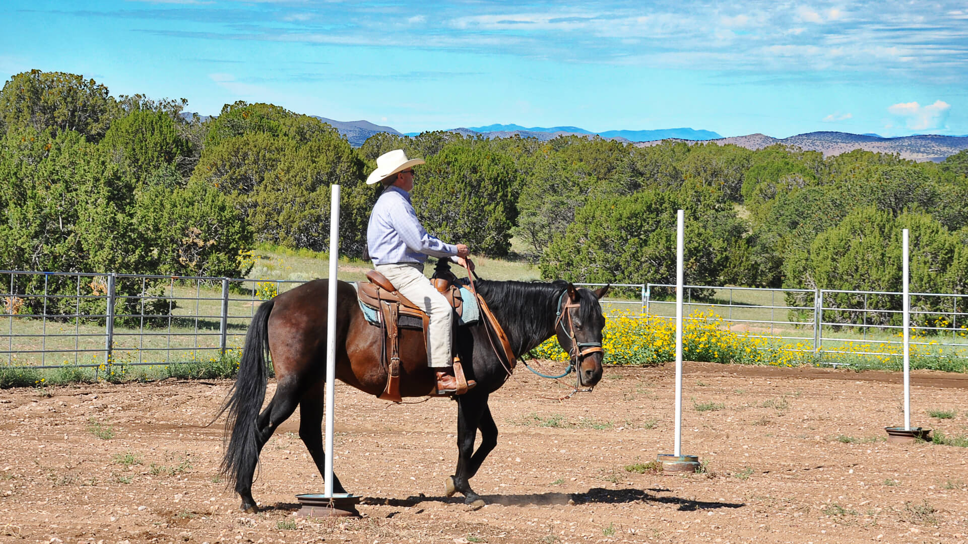 Pole bending Pole bending-getting around obstacles