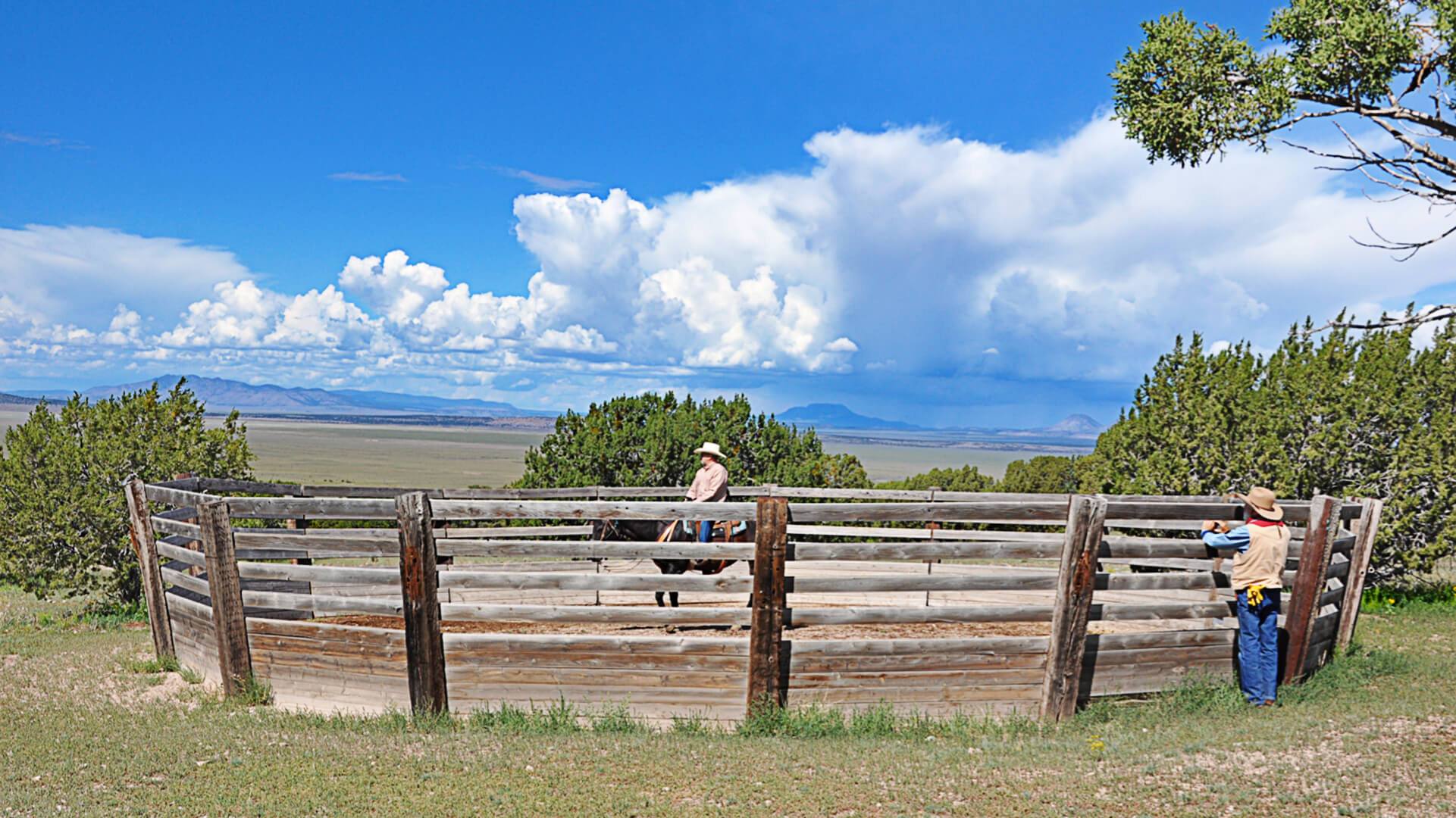 Round Pen Learning fundamental skills in Concho Hills' Round Pen